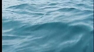 Schwester filmt uns im Urlaub am Strand und im Boot beim Sex