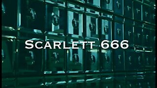 Wer Ist Die Harteste (Full Movie)